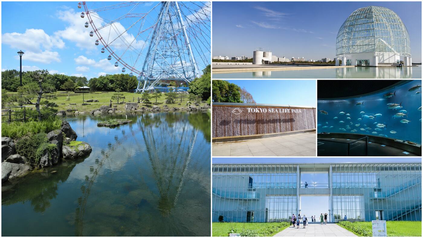 Kasai Rinkai Park & Aquarium: The Other Giant Park One Stop from Disney